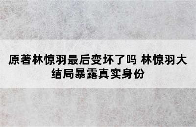 原著林惊羽最后变坏了吗 林惊羽大结局暴露真实身份